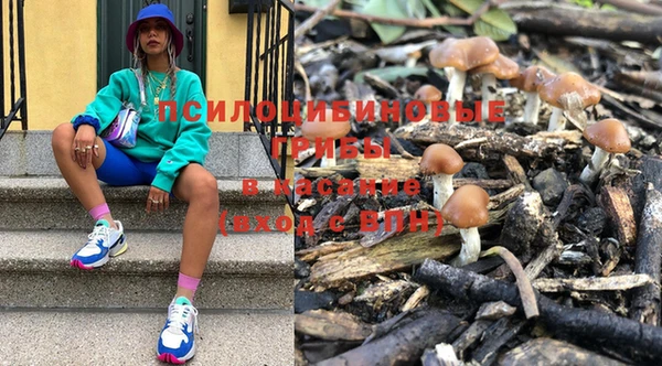 МДПВ Алексеевка