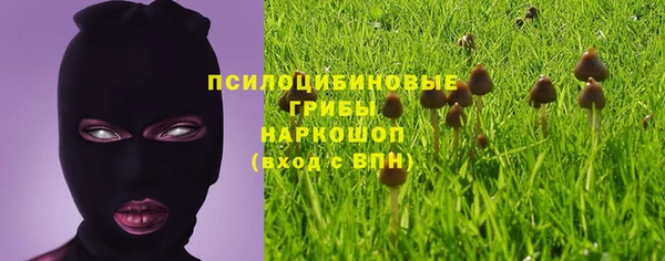 винт Покров