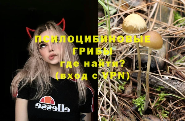 МДПВ Алексеевка