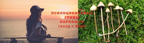МДПВ Алексеевка